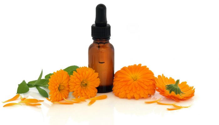 Calendula marigold flowers and petals with aromatherapy essential oil glass dropper bottle, over white background.